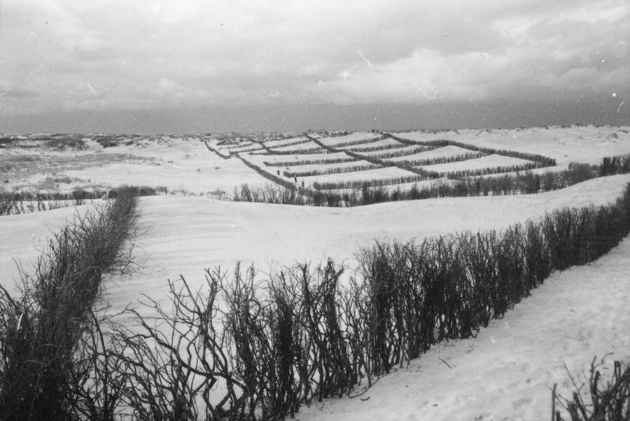 1955 - Mühlenstrasse 1955 - Dünen