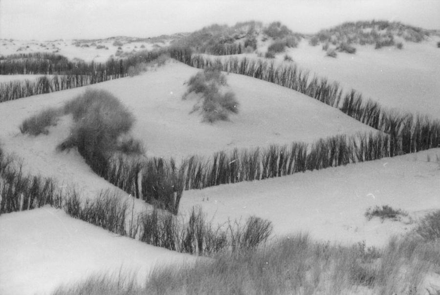 1955 - Mühlenstrasse 1955 - Dünen
