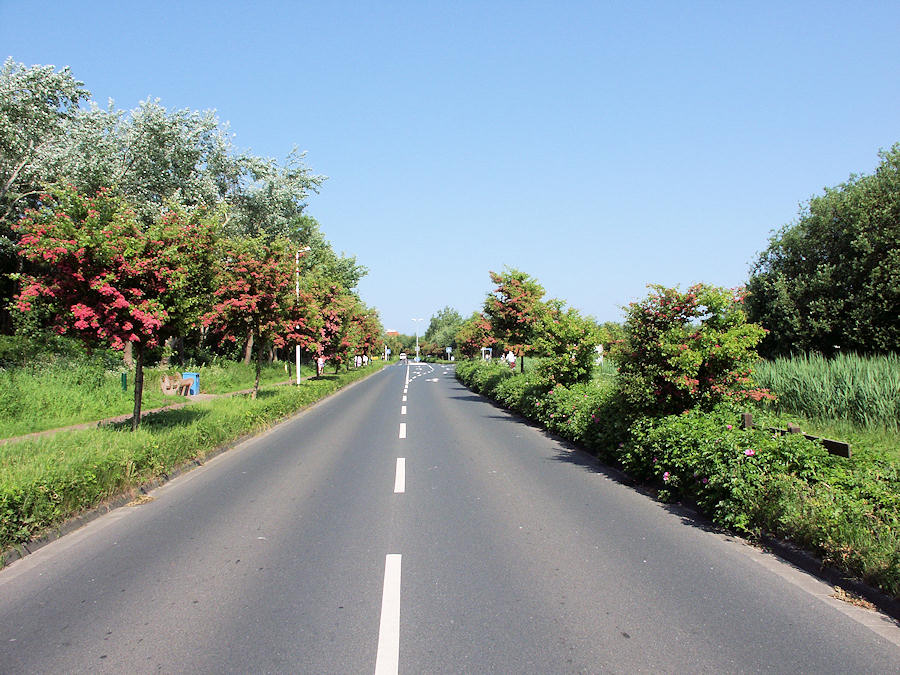 1955 - Mühlenstrasse 2003 - Hafenstrasse