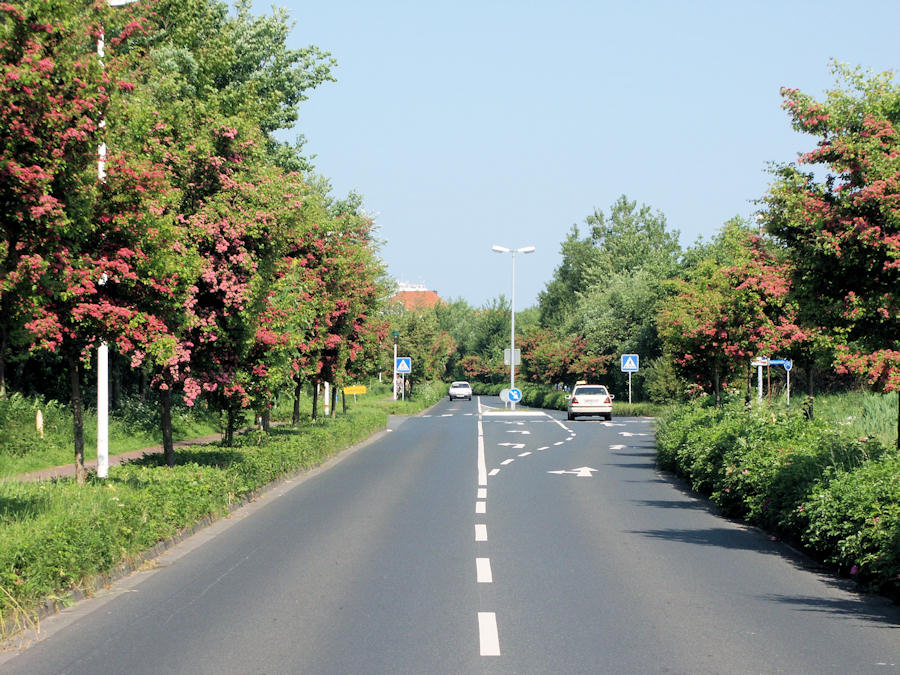 1955 - Mühlenstrasse 2003 - Hafenstrasse