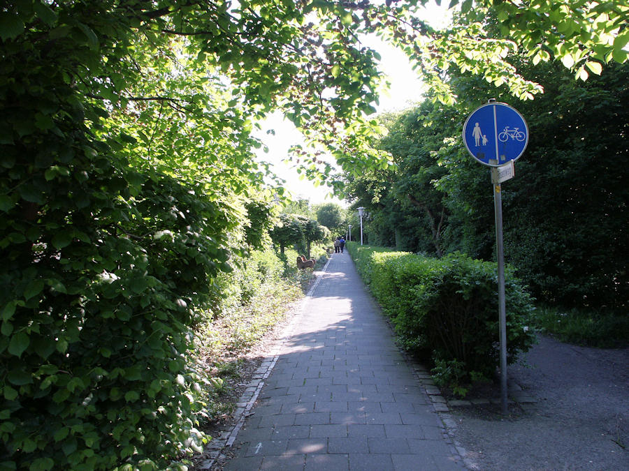 2003 - Rosenweg 2003 - Rosenweg