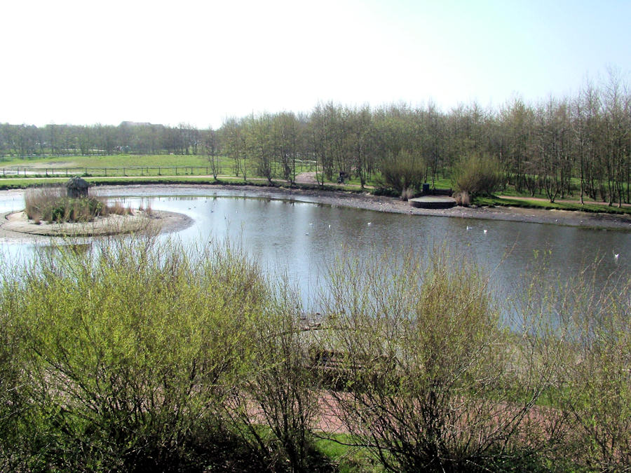 2005 - Sanierung / Säuberung Gondelteich