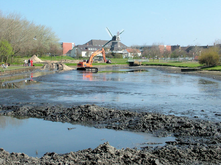 2005 - Sanierung / Säuberung Gondelteich