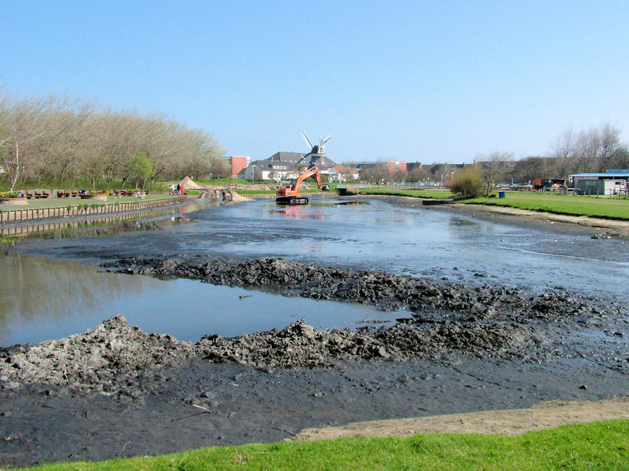 2005 - Sanierung / Säuberung Gondelteich