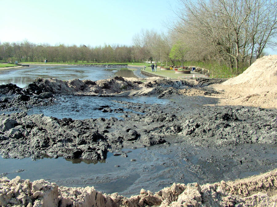 2005 - Sanierung / Säuberung Gondelteich