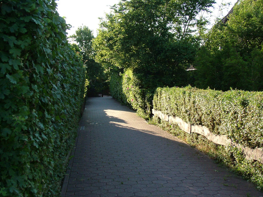 2006 - Up Süderdün