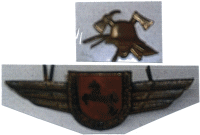 Neues Mützenemblem Neues Mützenemblem