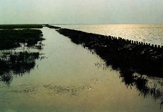 Vordere Sicherung Vordere Sicherung