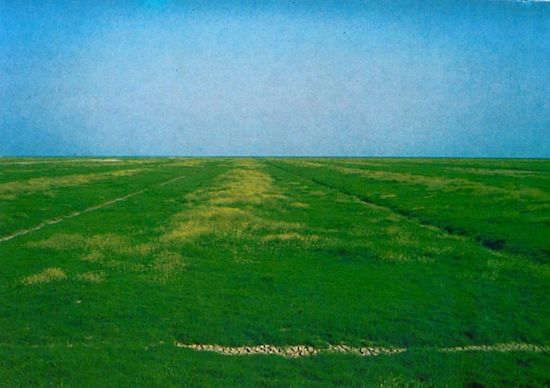 Beetstruktur des Deichvorlandes Beetstruktur des Deichvorlandes