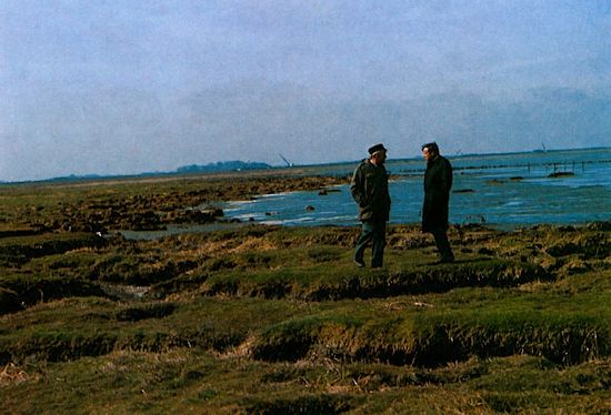 ungeschützte Hellerkante ungeschützte Hellerkante