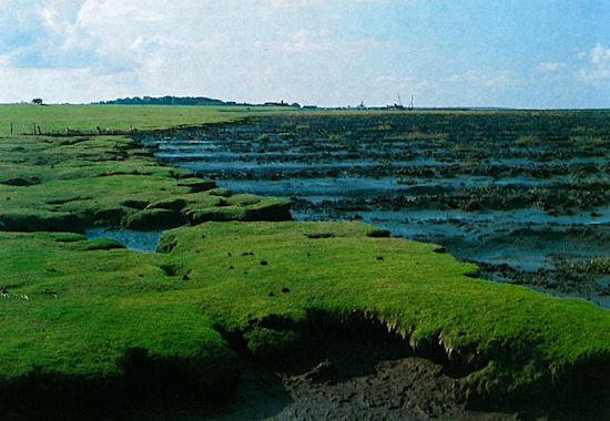 Durch Auflandung in neuen Lahnungsfeldern wird dem Abbruch des Hellers bei Neuharlingersiel Einhalt geboten. Durch Auflandung in neuen Lahnungsfeldern wird dem Abbruch des Hellers bei Neuharlingersiel Einhalt geboten.