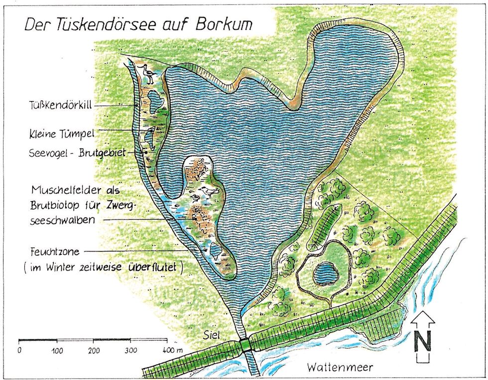 Tüskendörsee auf Borkum