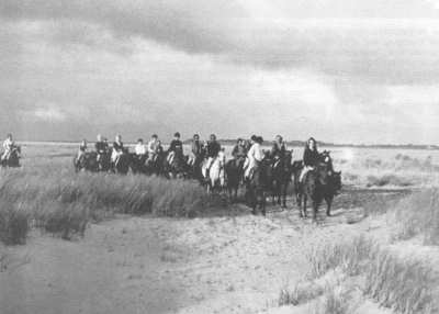 Reiten