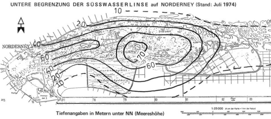 Süsswasserlinse