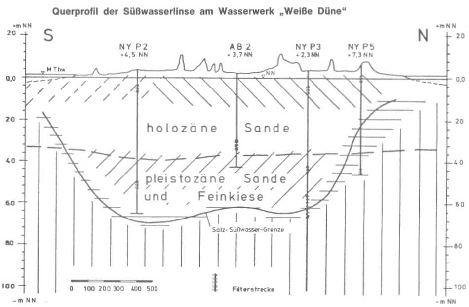 Süsswasserlinse