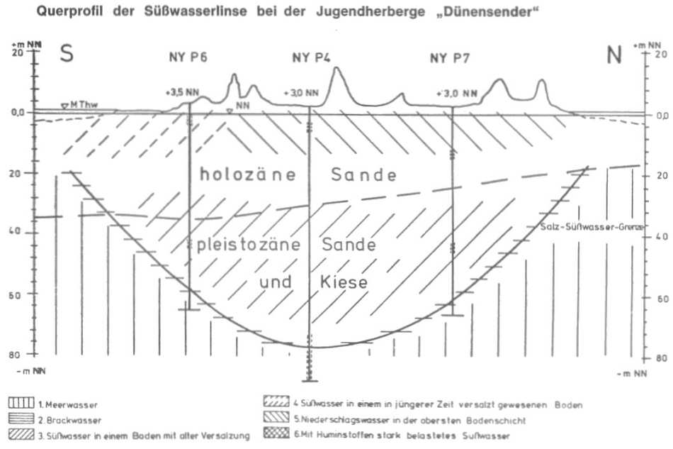 Süsswasserlinse