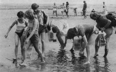 Wattwanderung Wattwanderung