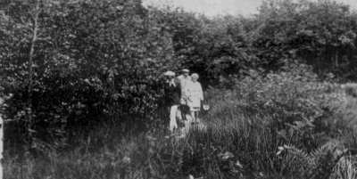 Inselwald