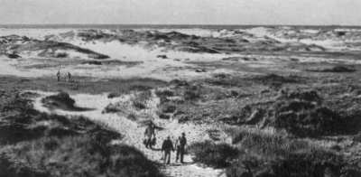 Dünen