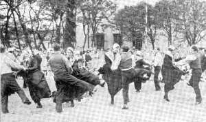 Hei, wat seggt ji van mien Kippen