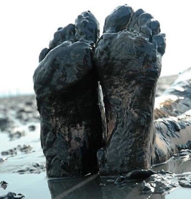 Zehn im Watt Zehn im Watt